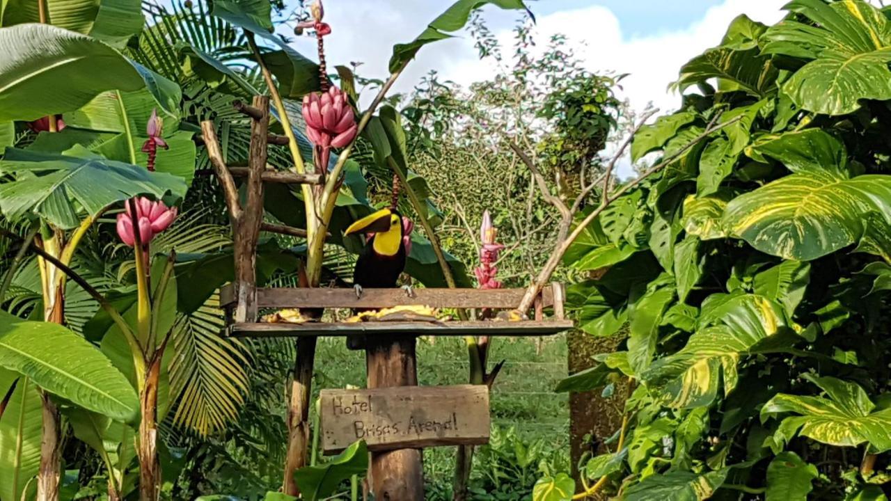 Hotel Brisas Arenal La Fortuna Exteriér fotografie